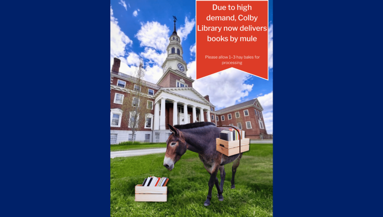 A mule stands in front of Miller library with a crate of books