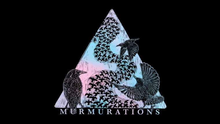 A logo of Murmurations with the Trans Pride colors, 3 birds, and a murmuration of birds flying through it.